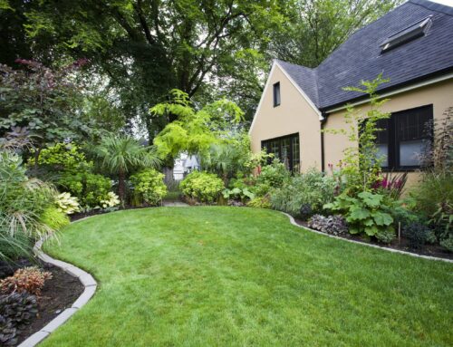 How To Maintain Your Lawn in Home Landscaping?