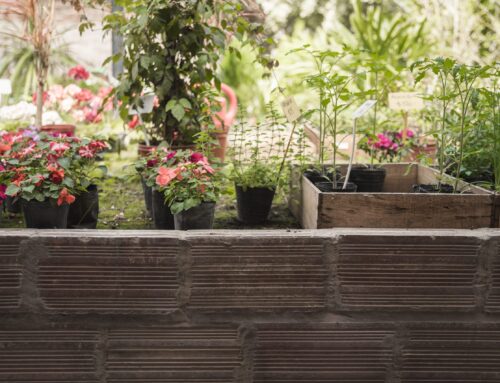How to Choose the Right Type of Balcony Planters for Your Balcony Garden