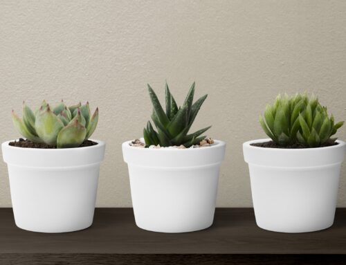 5 Creative Flower Pot Stand Ideas for Sale to Decorate Your Indoor Garden