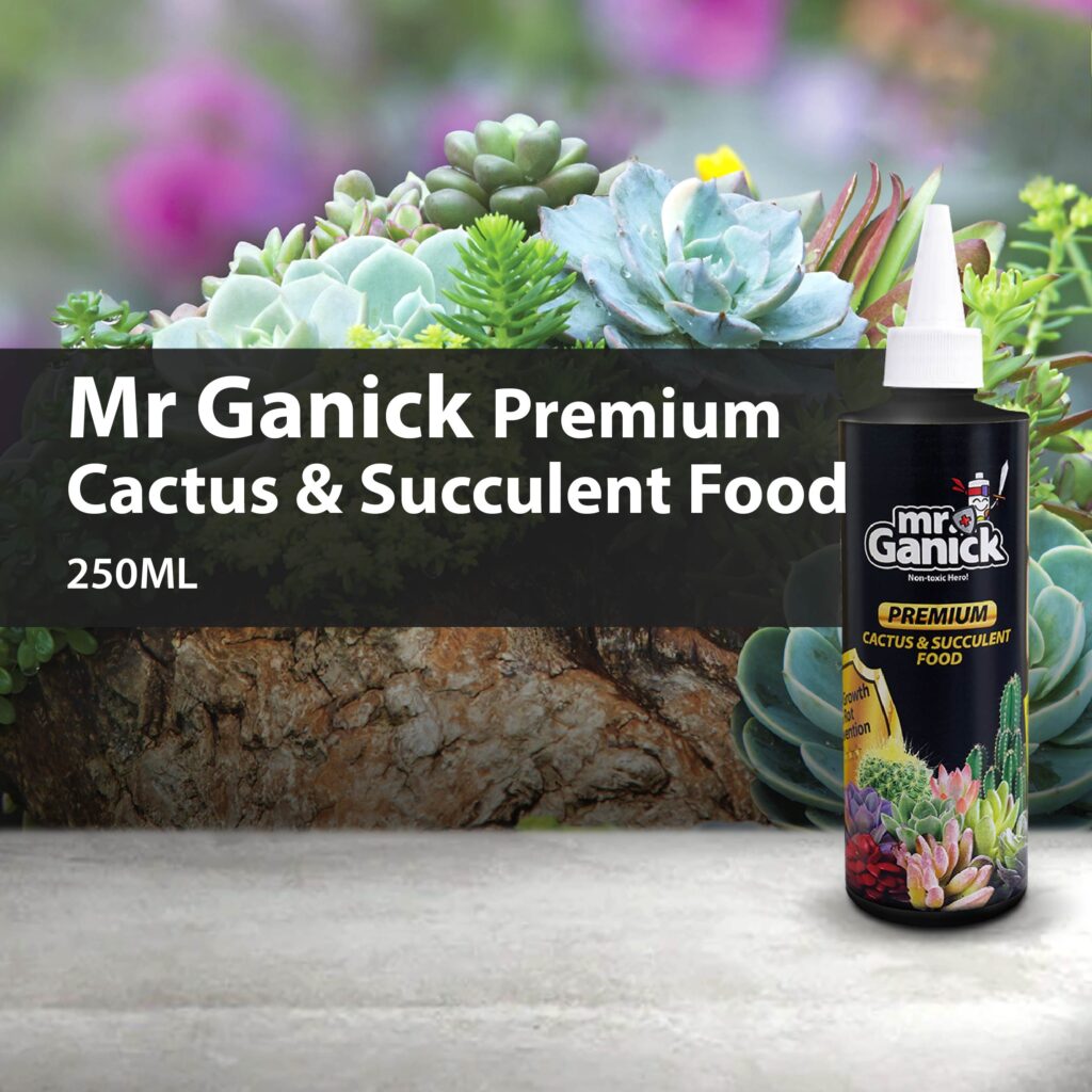 Mr-Ganick-Premium-Cactus-Succulent-Food_Organic-Fertilizer_Fertilizer-for-Plants