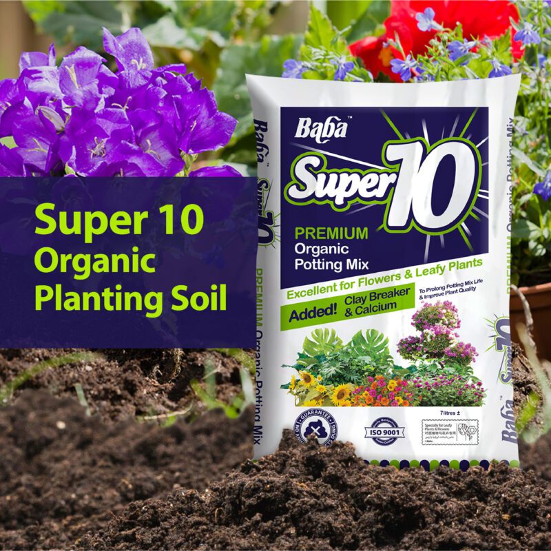 Buy Organic Soil Online: Reliable Flower And Vegetable Soil In Malaysia ...