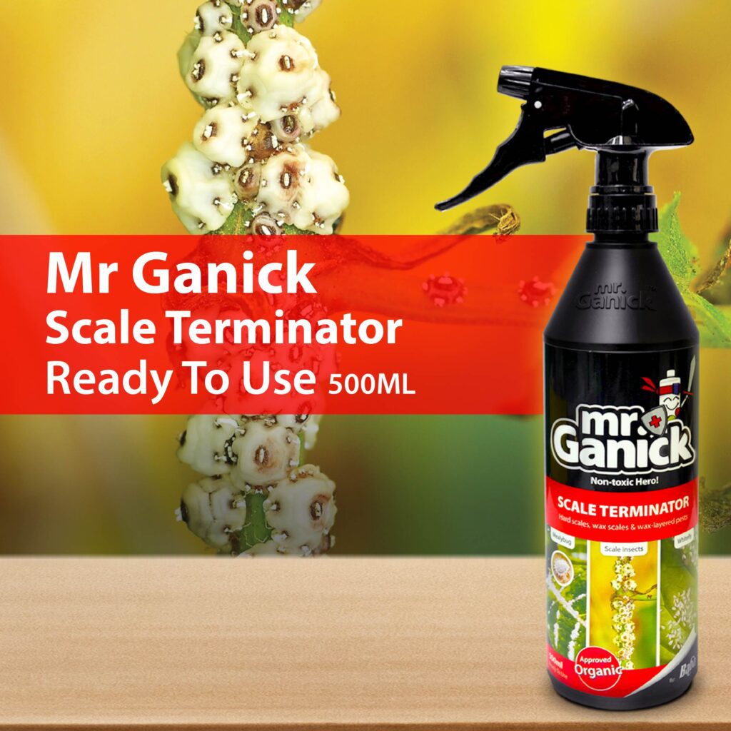 Mr-Ganick-Scale-Terminator-RTU_Organic-Pesticide_Plant-Pesticide
