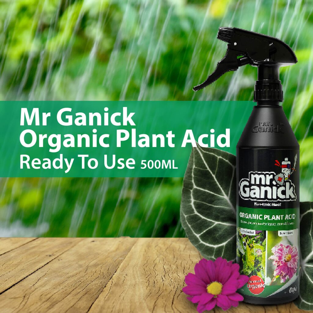 Mr-Ganick-Organic-Plant-Acid-RTU_Organic-Pesticide_Plant-Pesticide