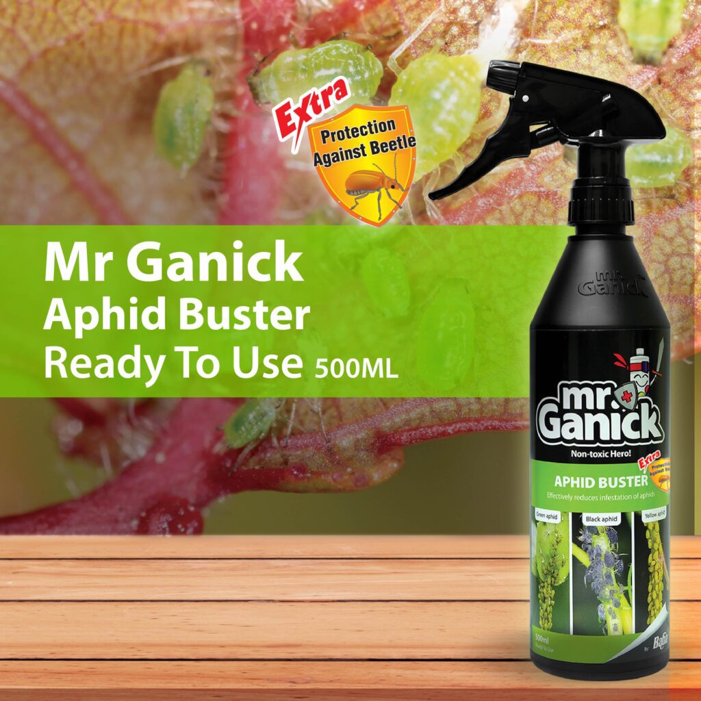 Mr-Ganick-Apid-Buster-RTU_Organic-Pesticide_Plant-Pesticide